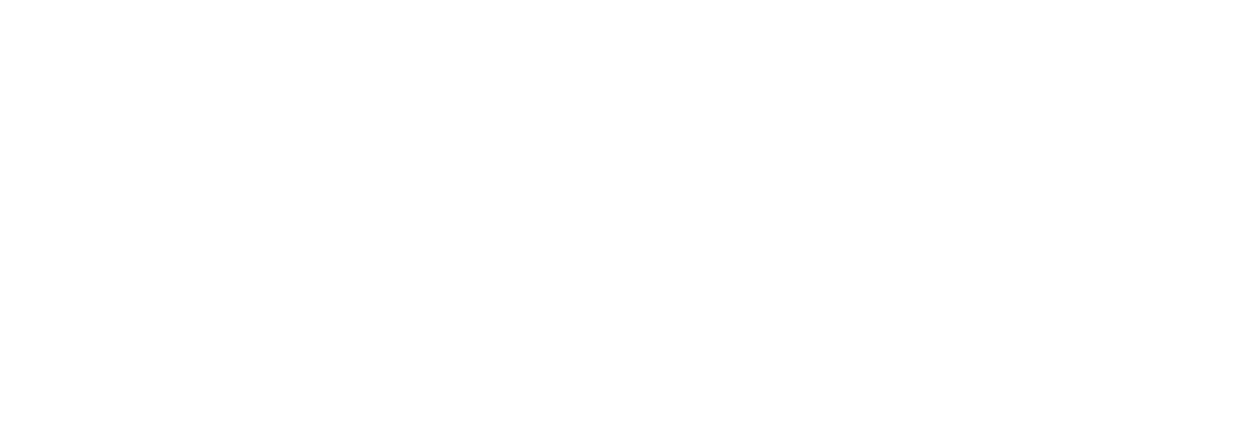 PEGA Bidet Việt Nam